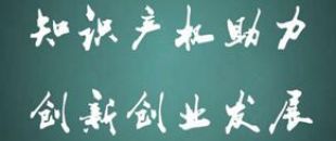 深南集團(tuán)召開中小企業(yè)風(fēng)控管理及知識產(chǎn)權(quán)專題講座